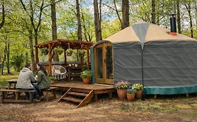 Holt Woodland Glamping - Shepherd Huts & Yurts Dog Friendly
